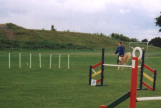 Ike at Bretons